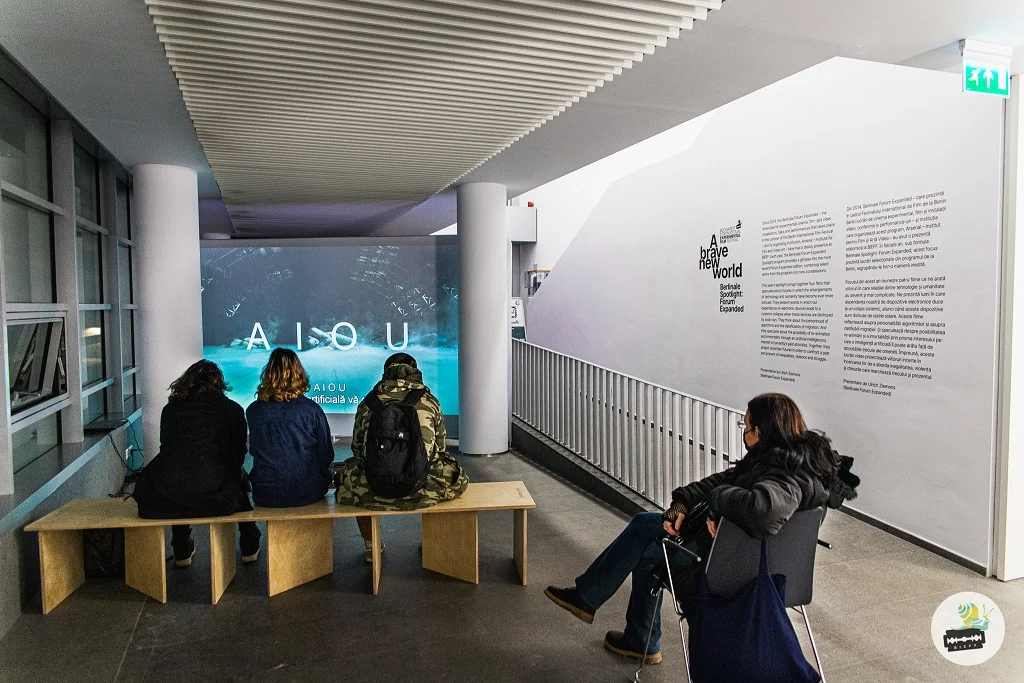 AndaStancescu BIEFF2020 24.11 WEBSIZE AncaPoterasu 6