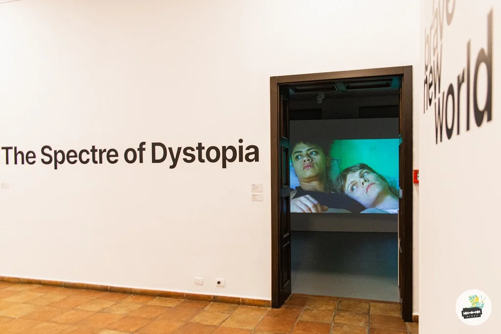 AndaStancescu BIEFF2020 24.11 WEBSIZE AncaPoterasu 6