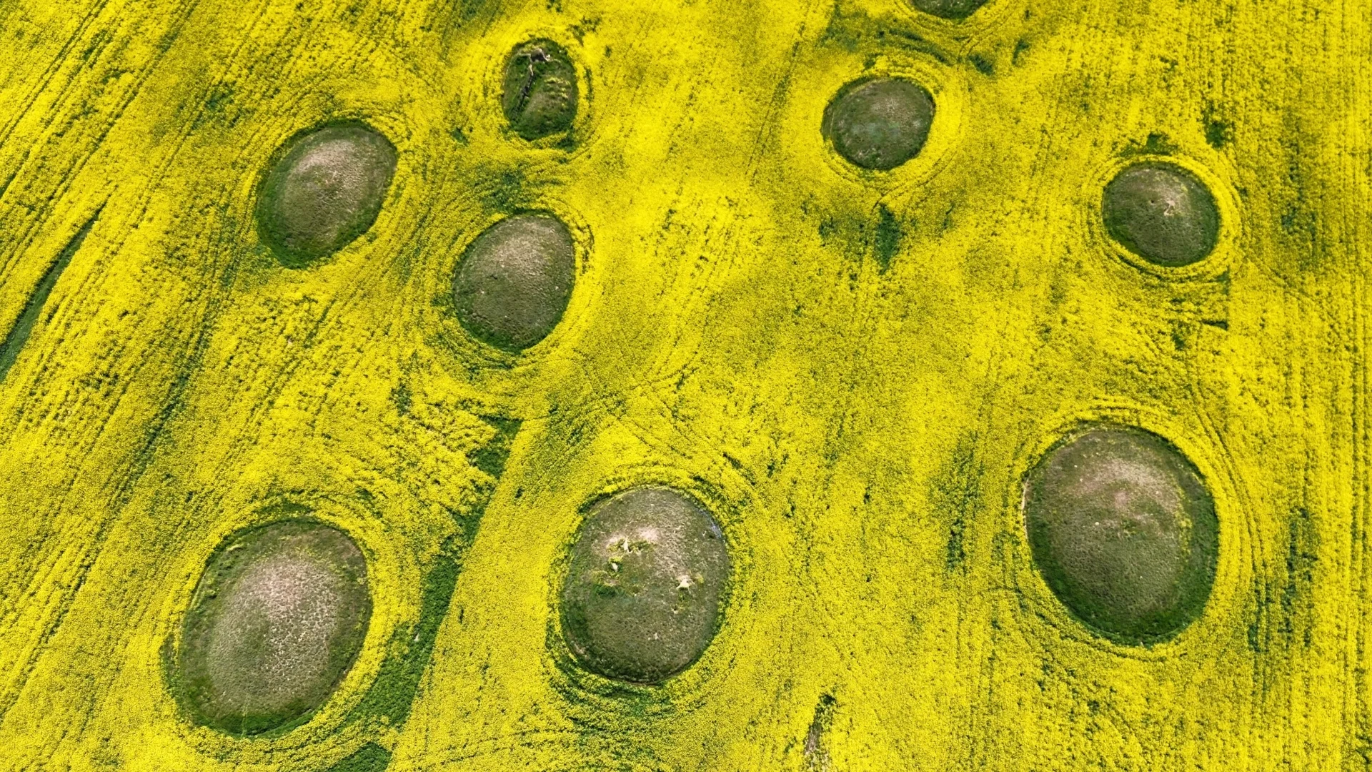 Marginal Otherwise Residency Kurgans Istria 1