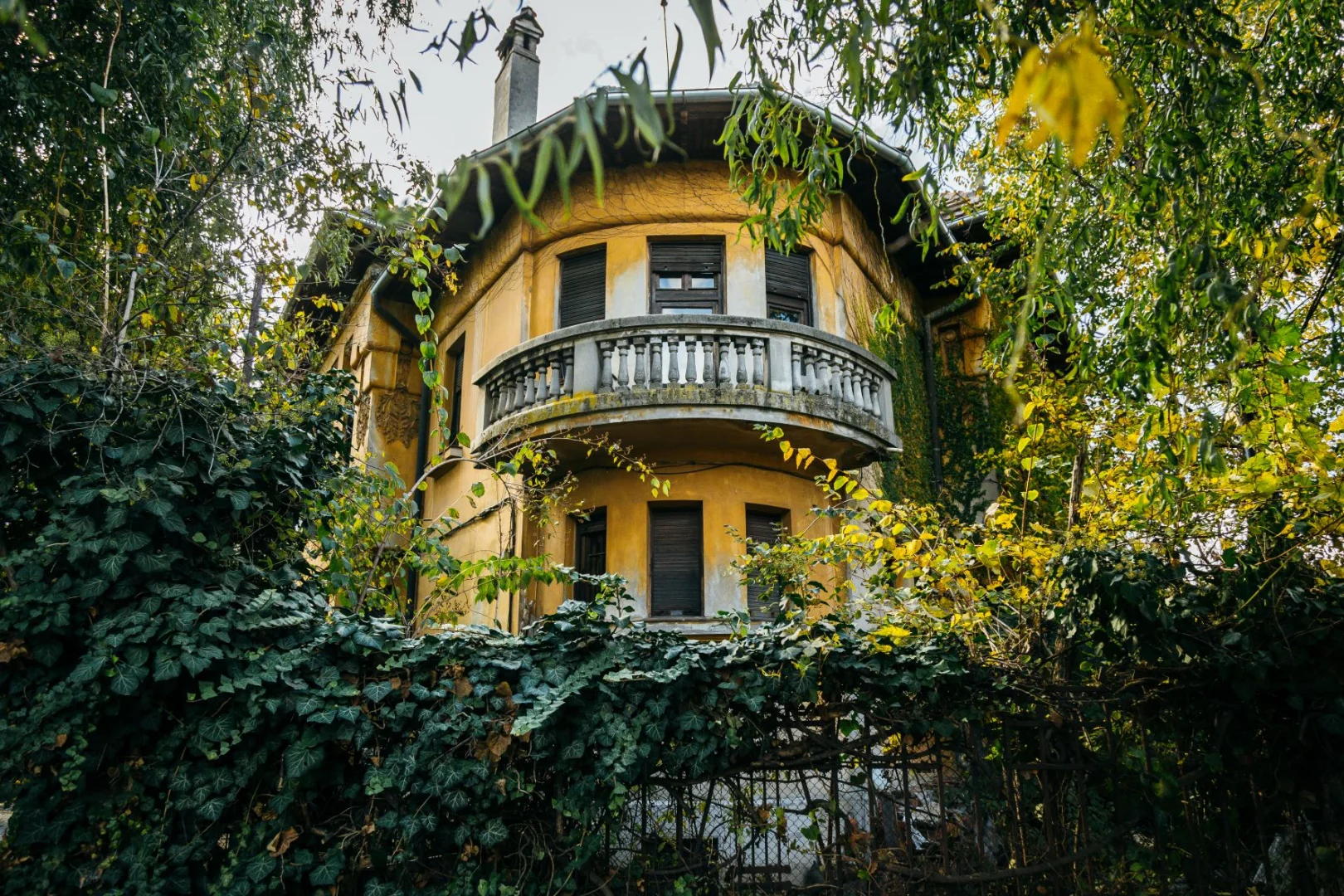 AURELIA CIONCA Mirinescu 2 2