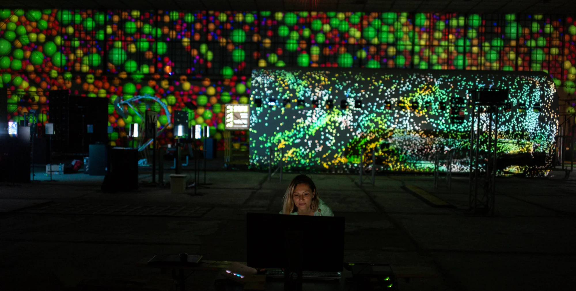 Rsz 1foto vlad lazarescu l1000380